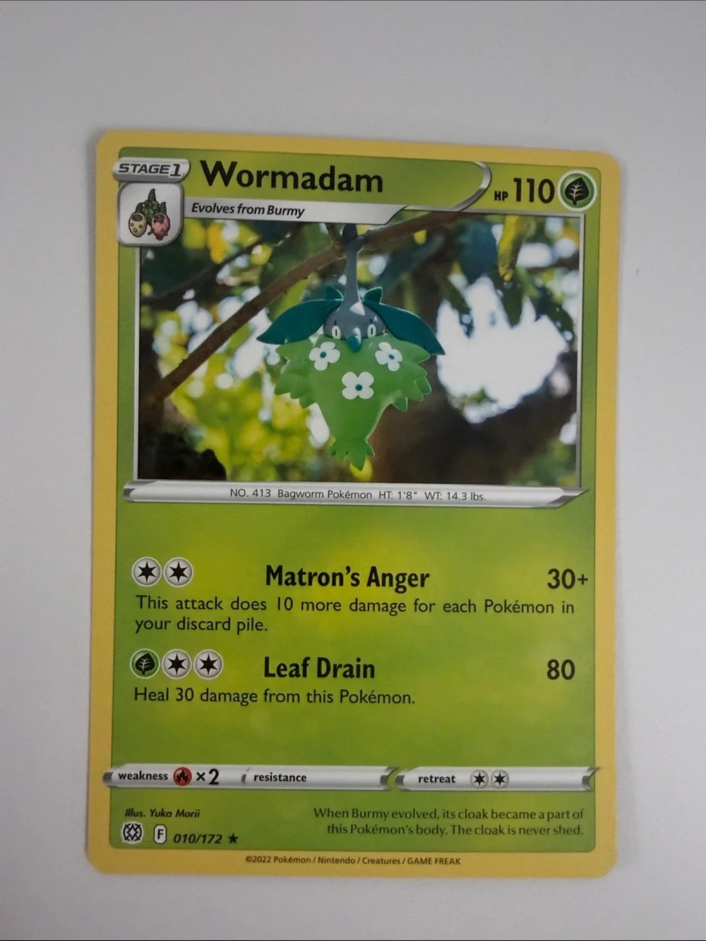 🌿 Forest Pokémon Card Lot | Tropius Maractus Burmy Wormadam Crustle ✨5/$25✨